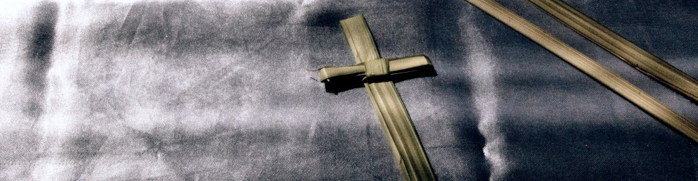 After finding a YouTube video on how make a palm cross, I used my own palms and shot this in my living room in my rental home near the south end of Lake Leelanau. July 31st, 2011. DL