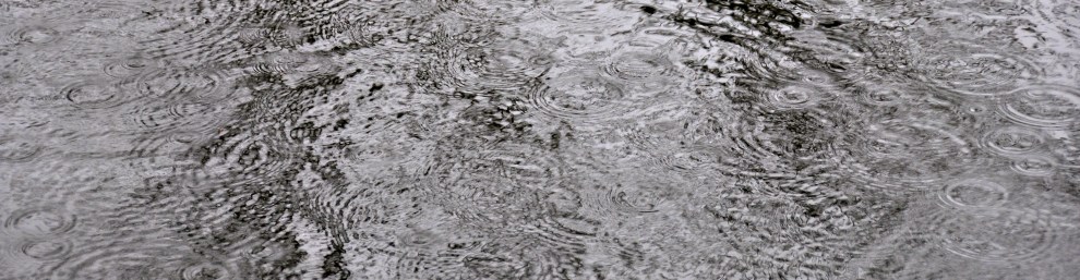 A rainy day, April 16th, 2011, on the Boardman river in Traverse City, MI, and my first deliberate photo shoot outing. DL